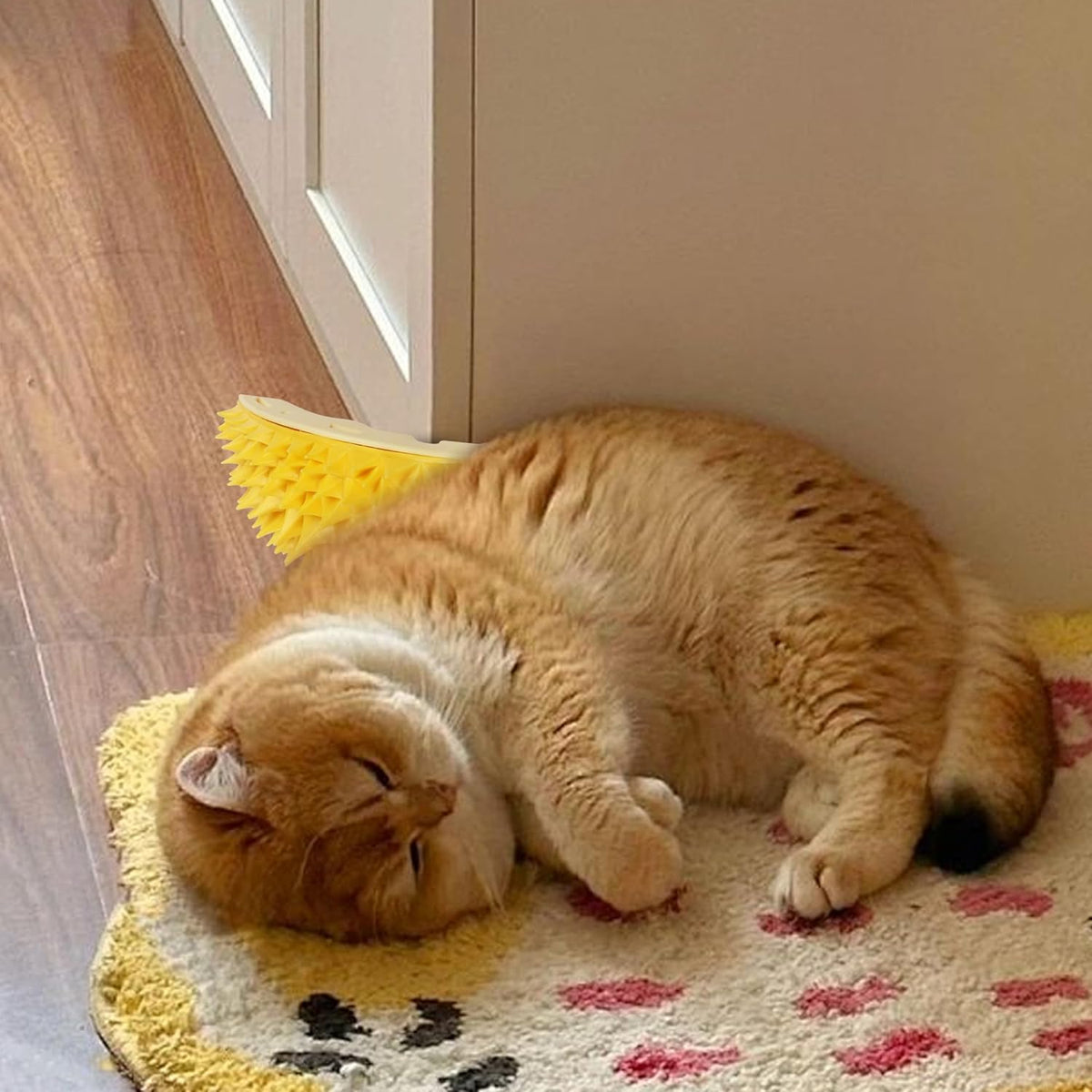 Cat Corner Grooming Brush