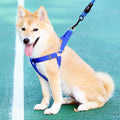 Heavy-Duty Nylon Dog Harness Small Medium