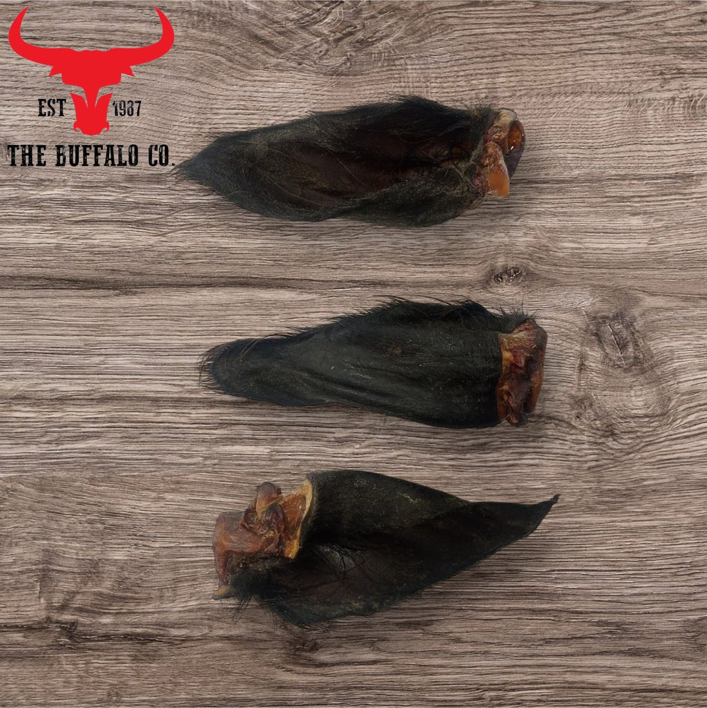 Hairy Buffalo Ears with Meat – 50 Pack