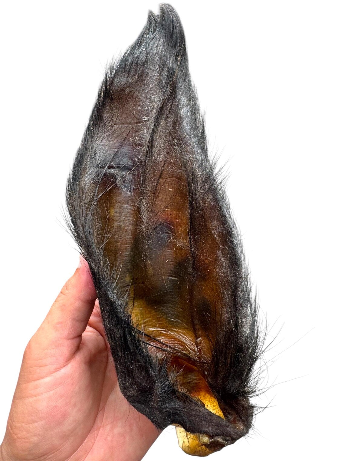 Hairy Buffalo Ears with Meat – 50 Pack