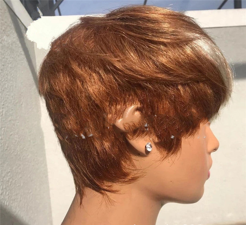 Brown & Golden Highlight Short Wig