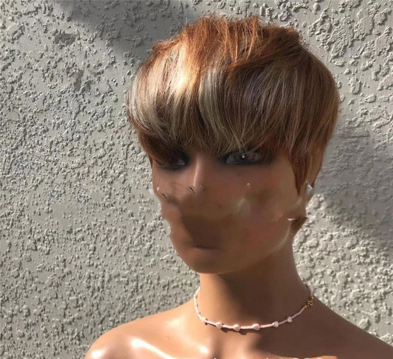 Brown & Golden Highlight Short Wig
