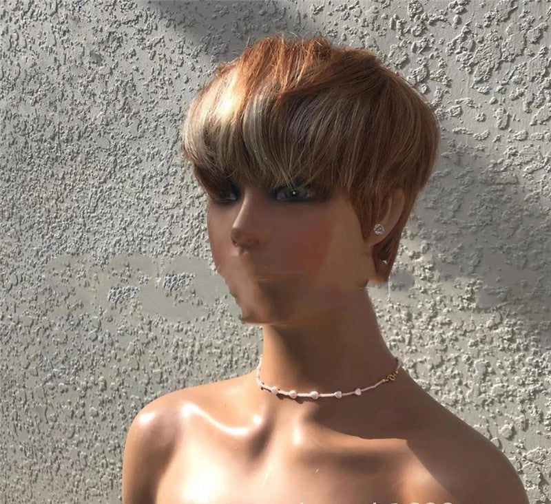 Brown & Golden Highlight Short Wig
