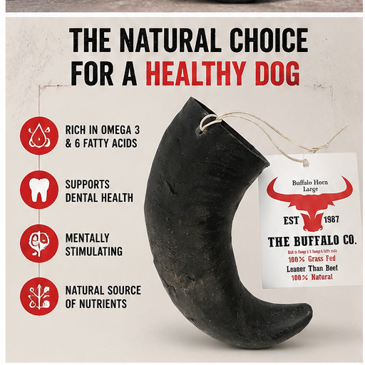 Natural Buffalo Horn Dog Chew – Large 6–8in