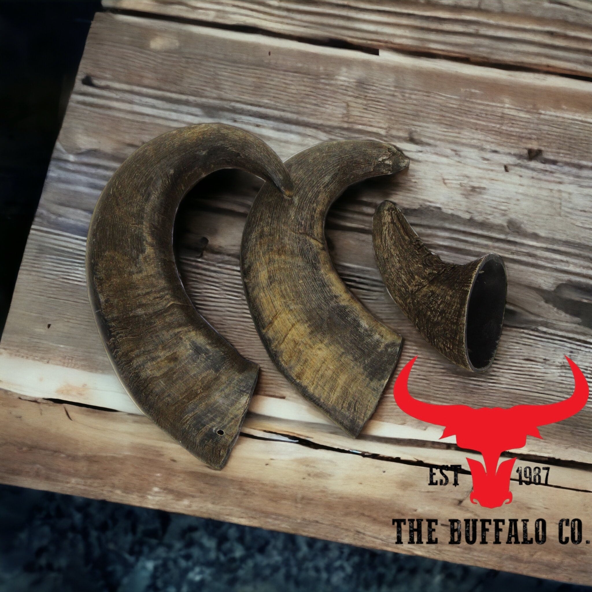 Natural Buffalo Horn Dog Chew – Small 4–5in