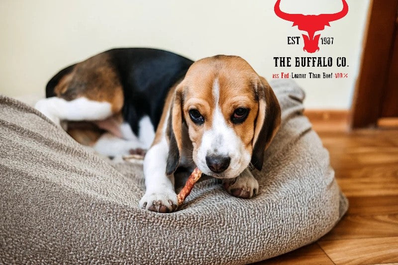 Natural Buffalo Tail Dog Chews – 200g or 1kg