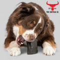 Natural Buffalo Horn Dog Chew – Large 6–8in