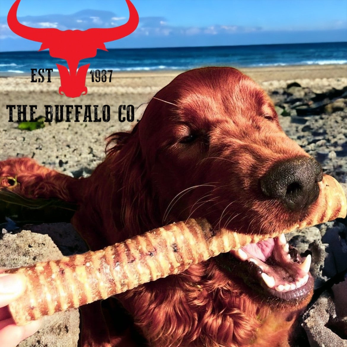 Natural Buffalo Trachea Rounds – 100g or 1kg