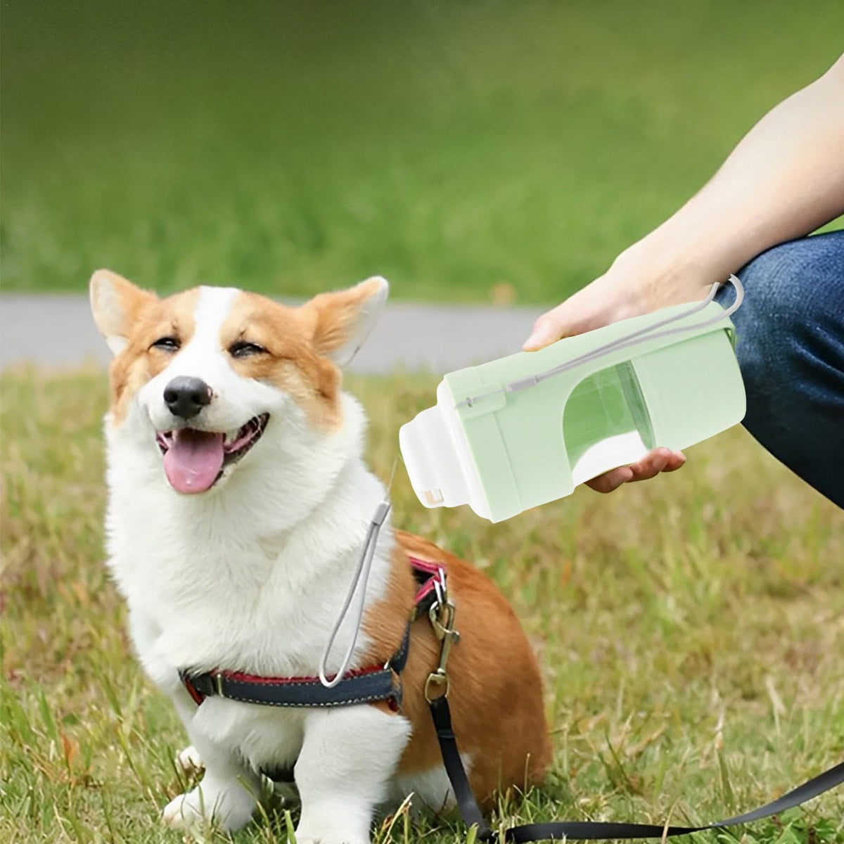 2-in-1 Dog Travel Water Bottle & Food Container – 690ml