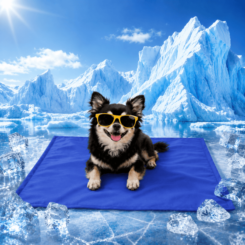 Blue 40 x 50cm self-cooling mat for dogs and cats