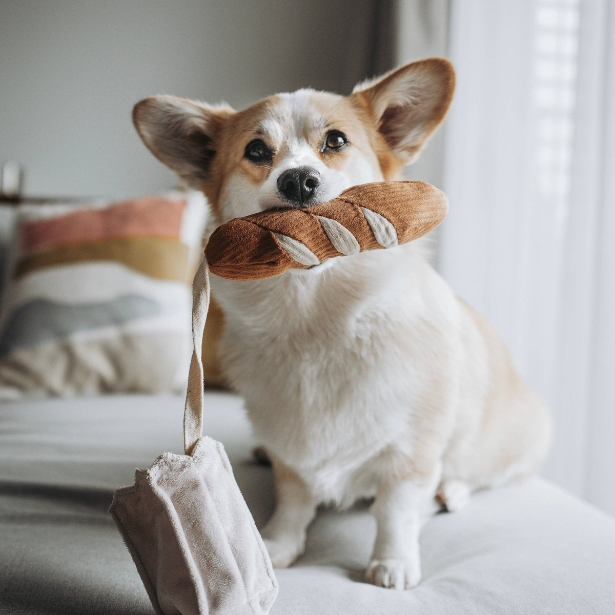Fauna London Mini Baguette Squeaky Dog Toy