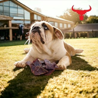 Air-Dried Buffalo Jerky Dog Treats – 100g or 1kg