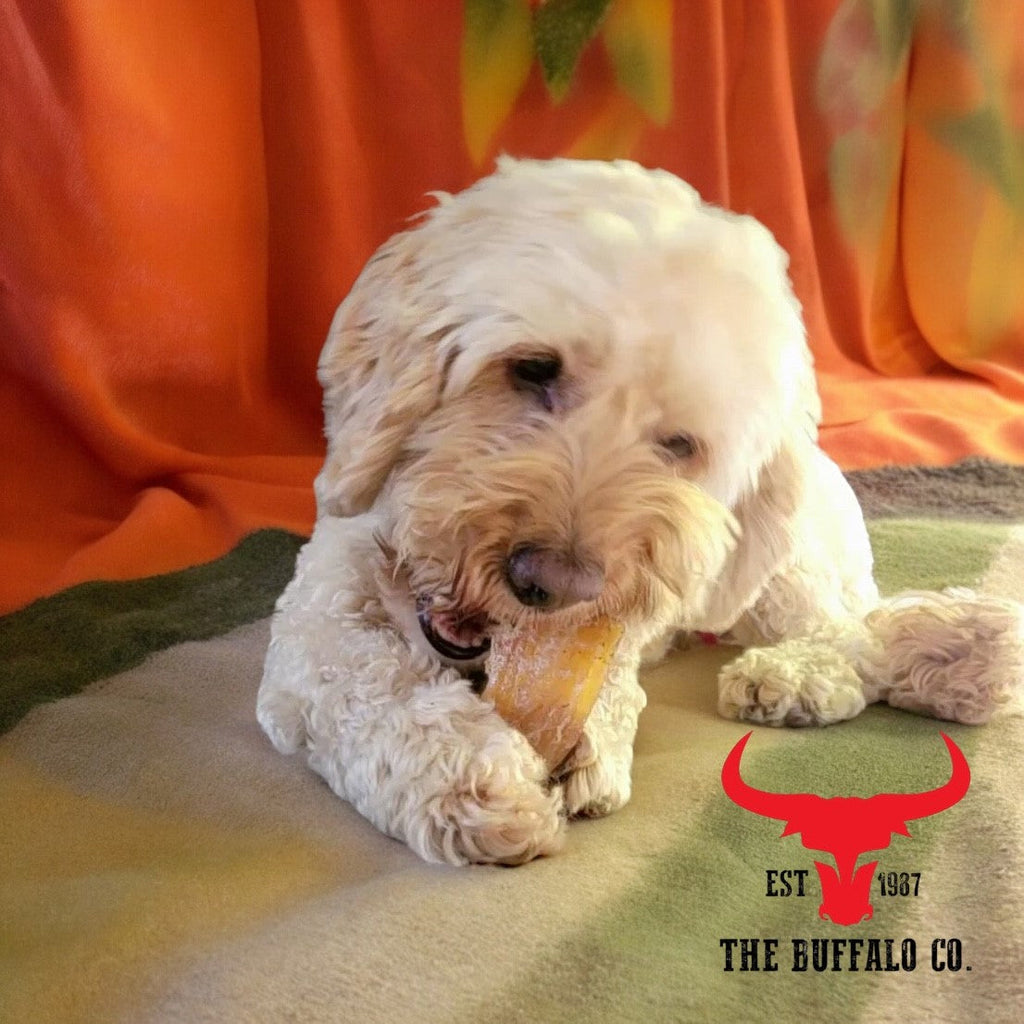 Natural Buffalo Paddywack Dog Treats – 100g or 1kg