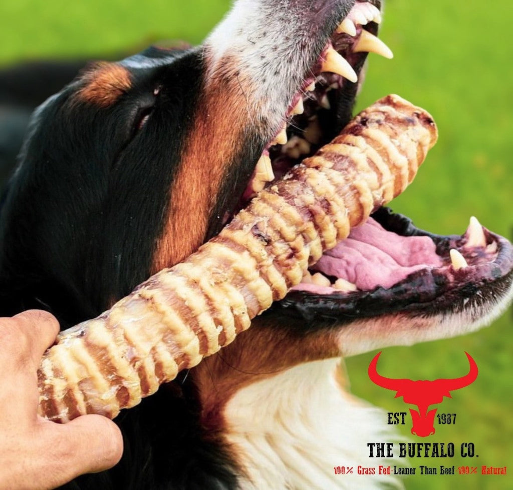 Natural Buffalo Trachea Rounds – 100g or 1kg